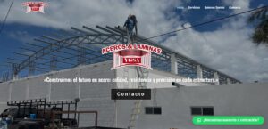 imagen acerosylaminasygsa